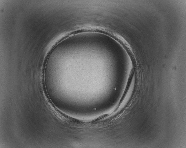 X0000086061183200703301033