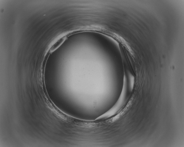 X0000086061184200703301033