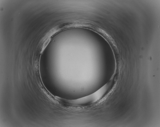 X0000086061185200703301033