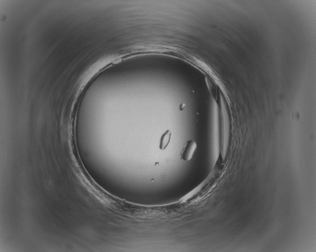 X0000086061187200703301033