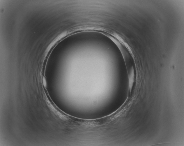 X0000086061189200703301033