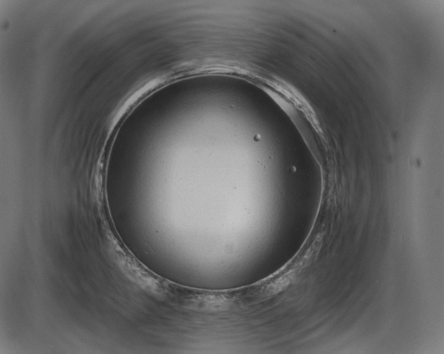 X0000086061190200703301033