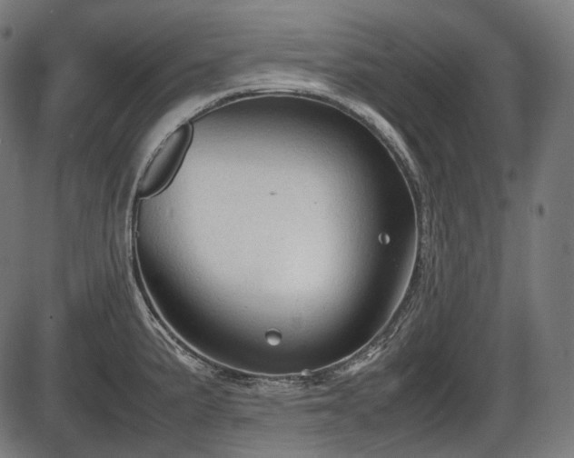 X0000086061191200703301033