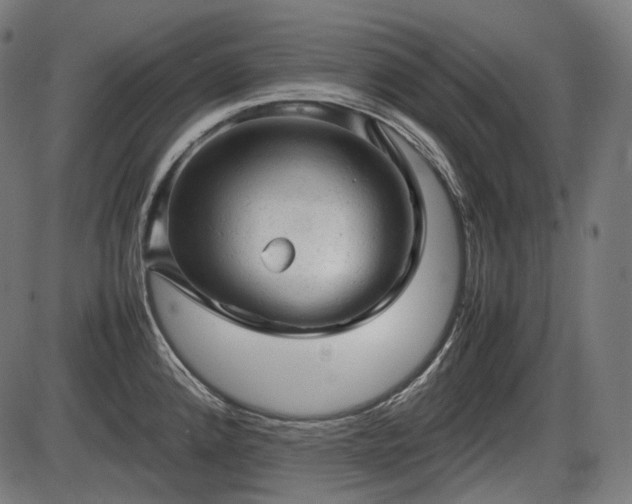 X0000086061192200703301033