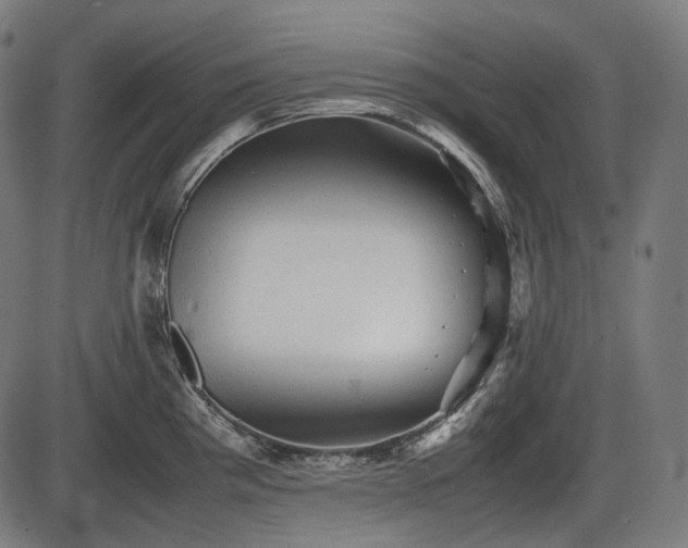 X0000086061193200703301033