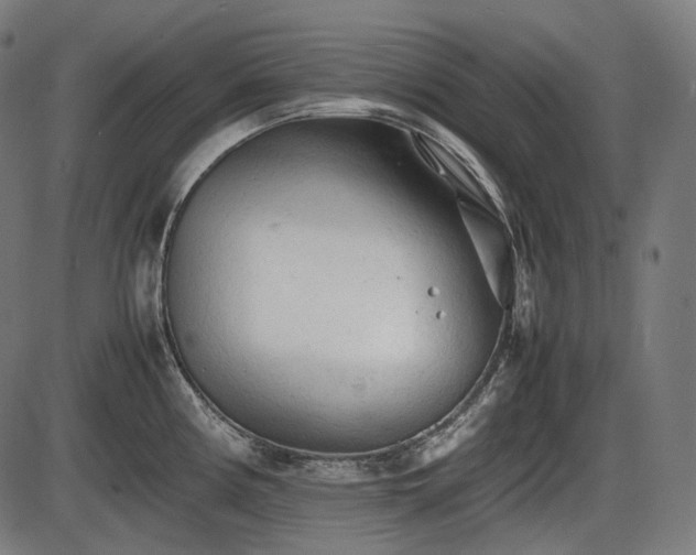 X0000086061194200703301033