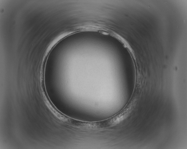 X0000086061195200703301033