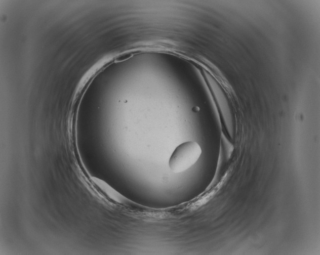 X0000086061196200703301033