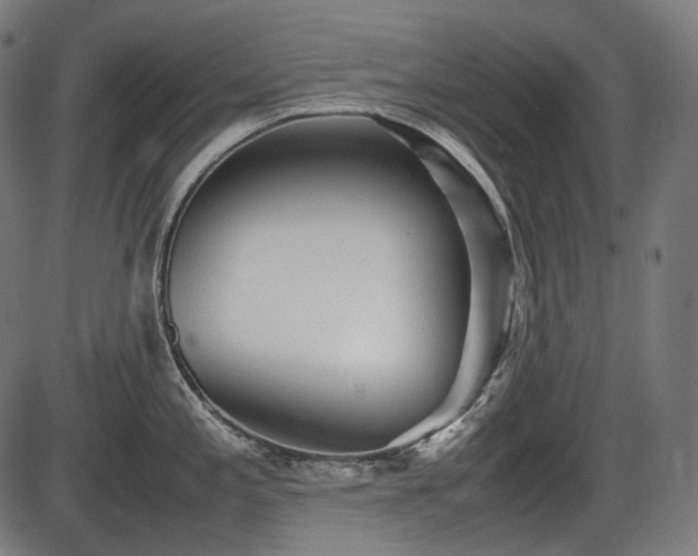 X0000086061197200703301033