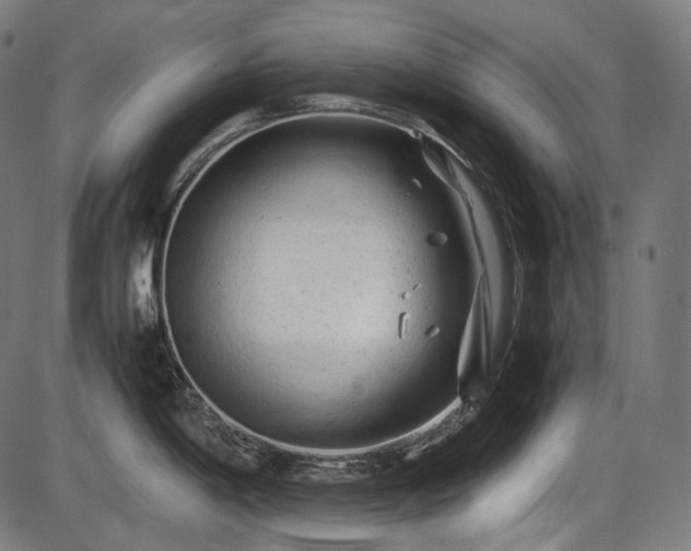 X0000086061198200703301033