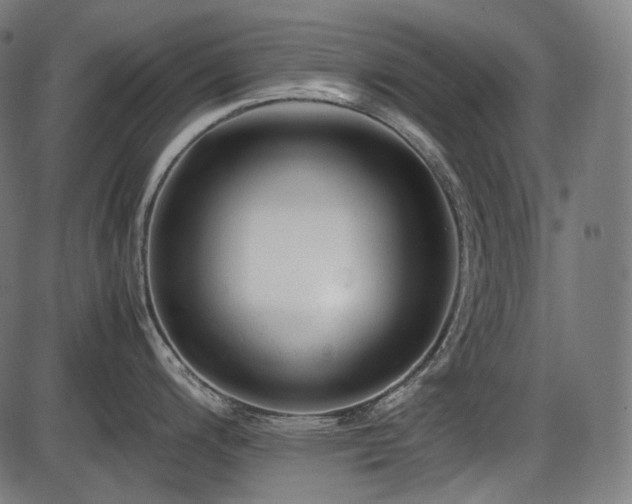 X0000086061200200703301033