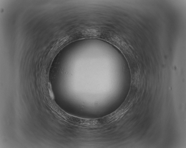 X0000086061201200703301032