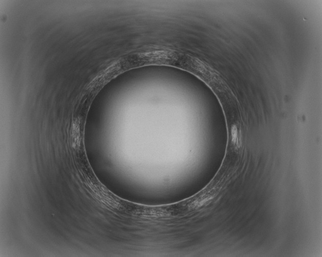 X0000086061203200703301032