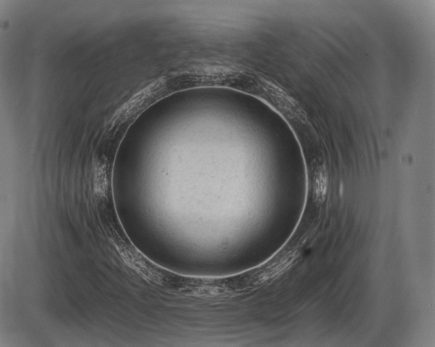 X0000086061204200703301032