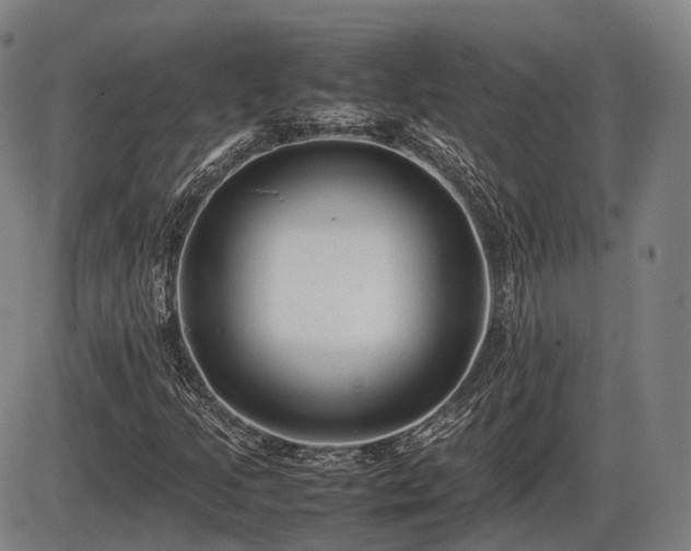 X0000086061205200703301032