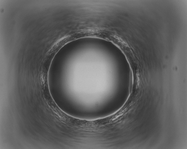 X0000086061206200703301032