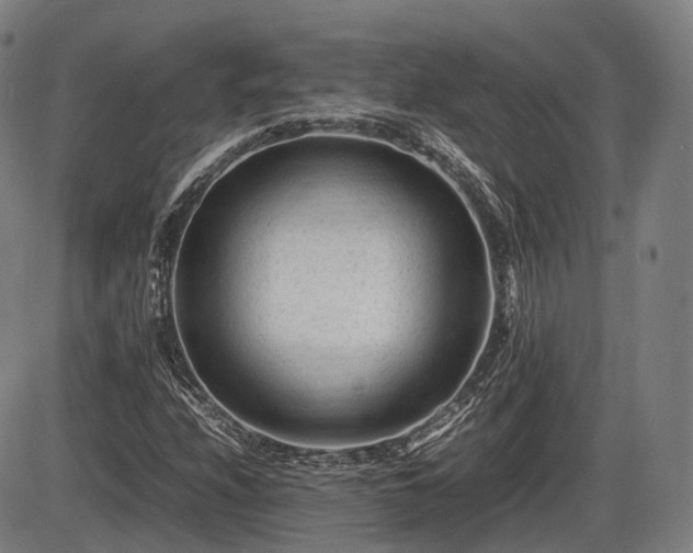 X0000086061208200703301032