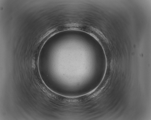 X0000086061209200703301032