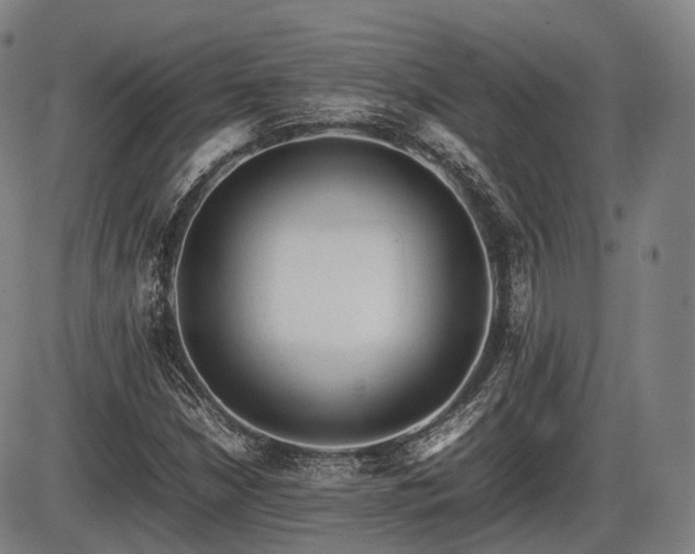 X0000086061210200703301032