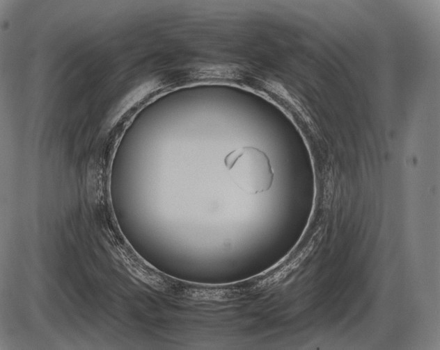 X0000086061211200703301032