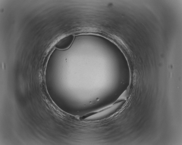 X0000086061212200703301032