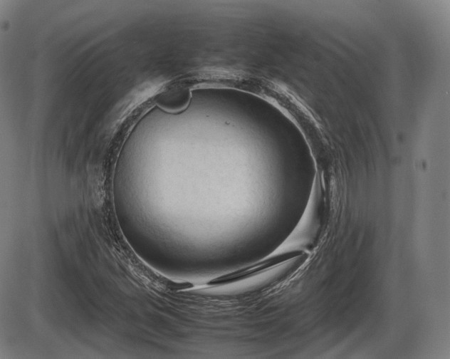 X0000086061213200703301032