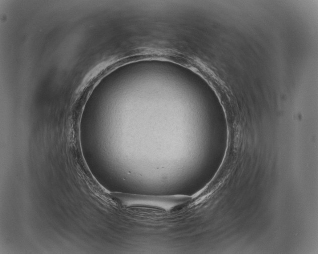 X0000086061215200703301032