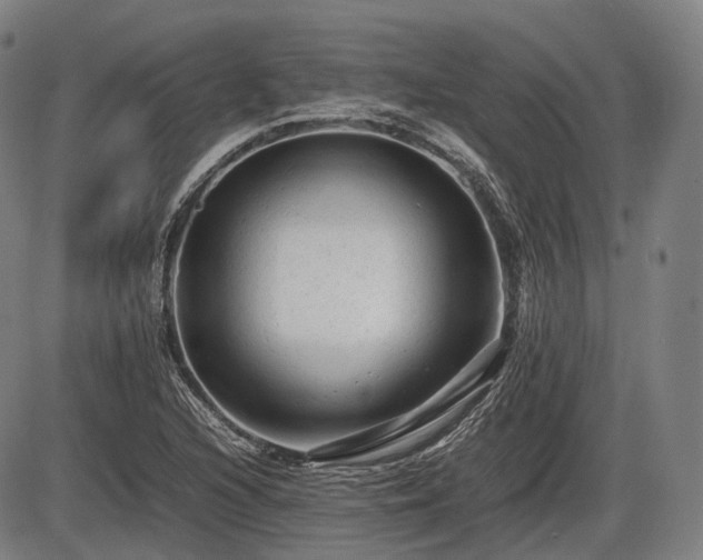 X0000086061216200703301032