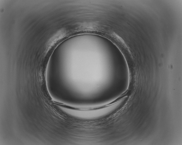 X0000086061218200703301032