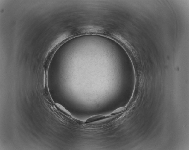 X0000086061219200703301032