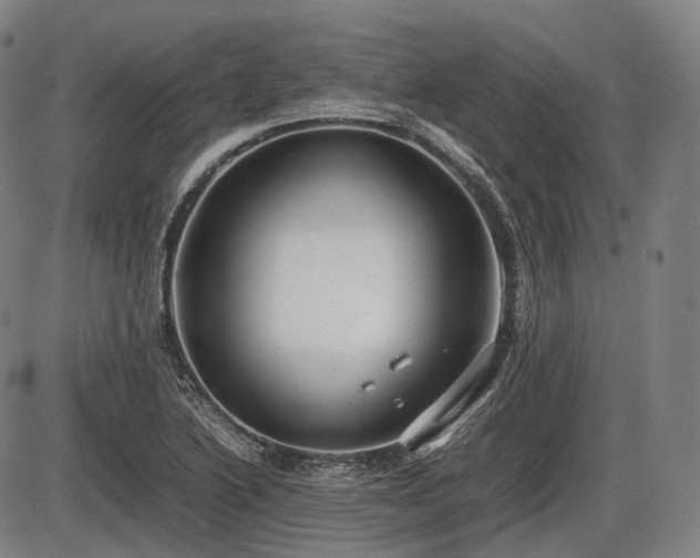 X0000086061222200703301032