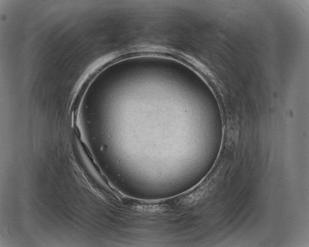 X0000086061223200703301032