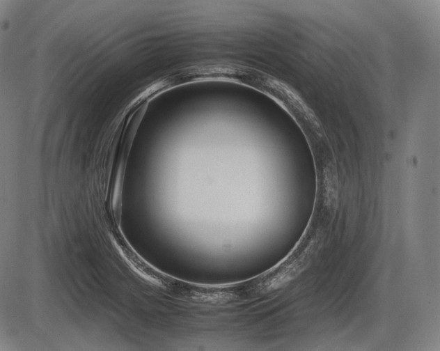 X0000086061225200703301032