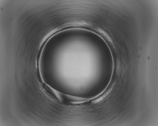 X0000086061226200703301032