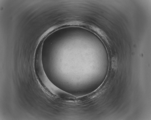 X0000086061229200703301032