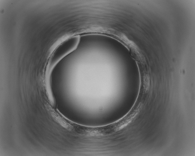 X0000086061230200703301032