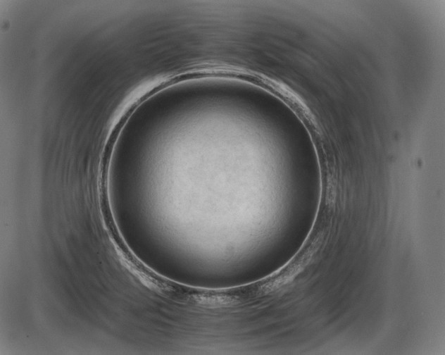 X0000086061231200703301032