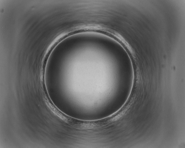 X0000086061232200703301032