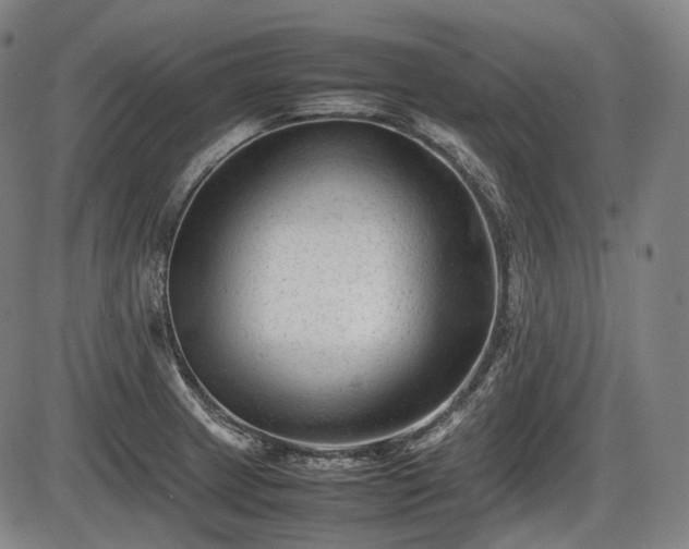 X0000086061233200703301032