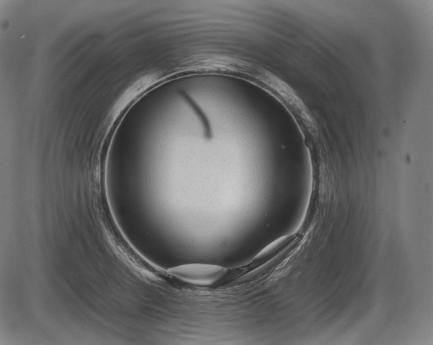 X0000086061234200703301032