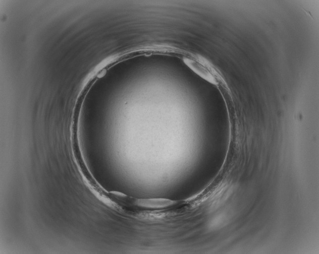 X0000086061237200703301032