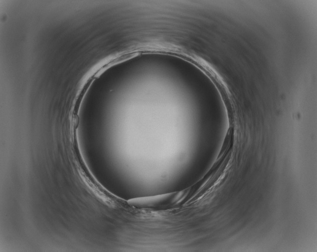 X0000086061238200703301032