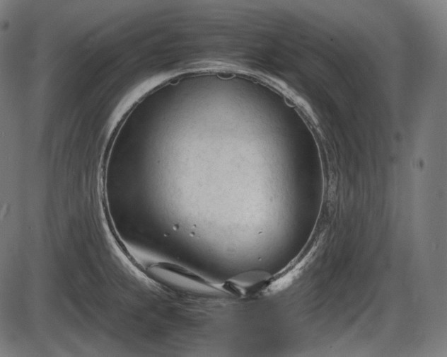 X0000086061239200703301032