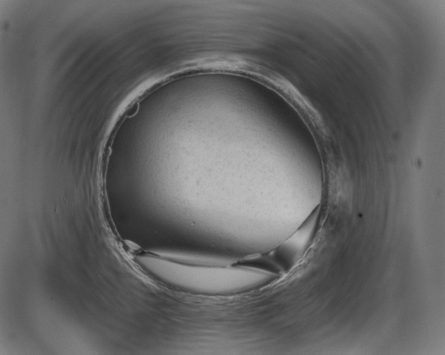 X0000086061240200703301032