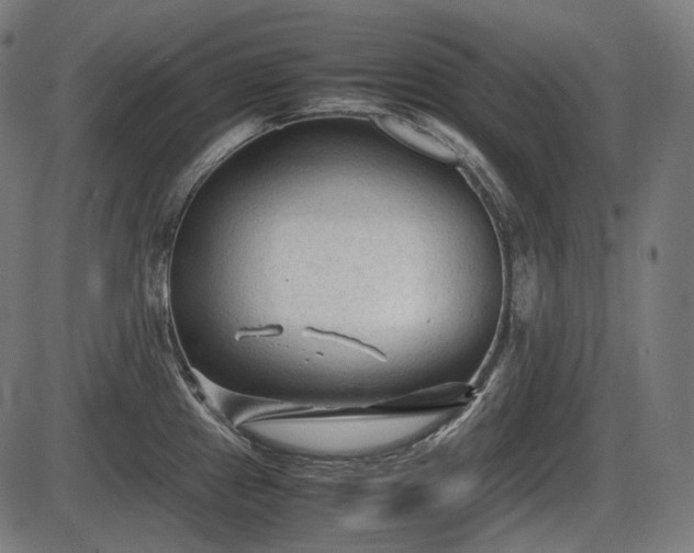 X0000086061241200703301032