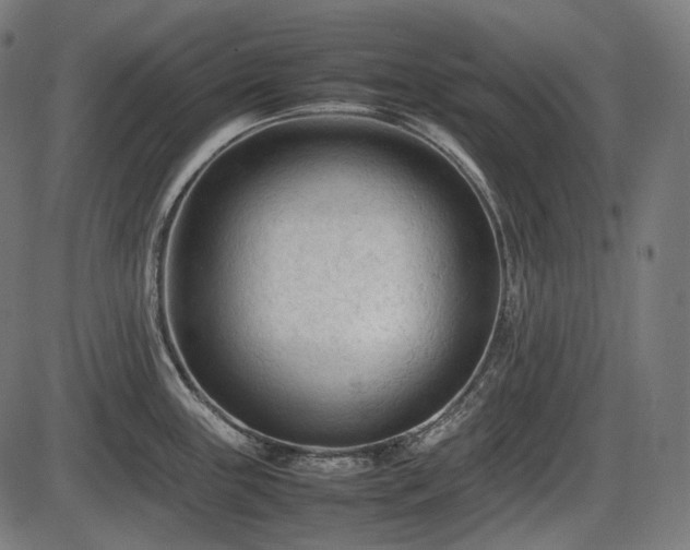 X0000086061243200703301033