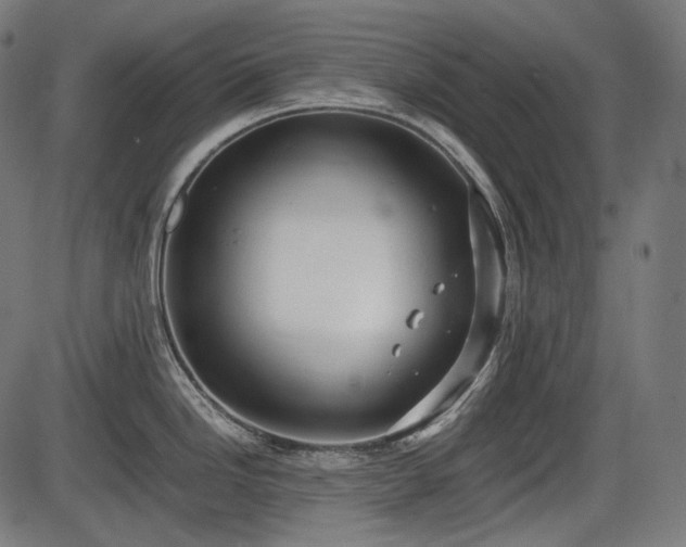 X0000086061246200703301033