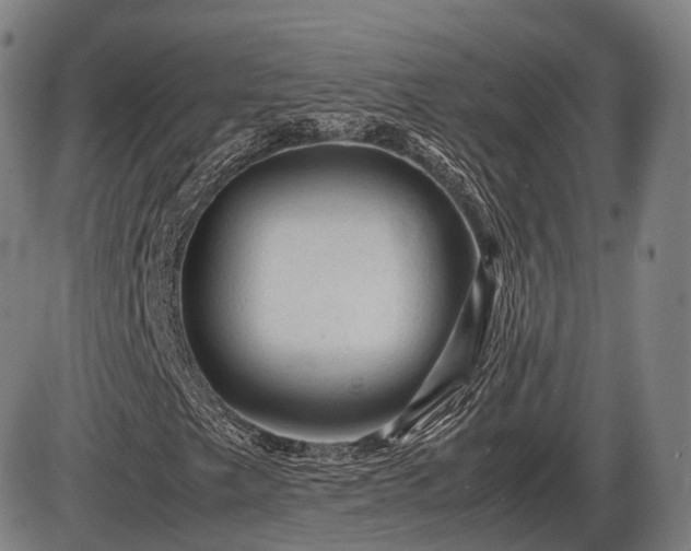 X0000086061249200703301032