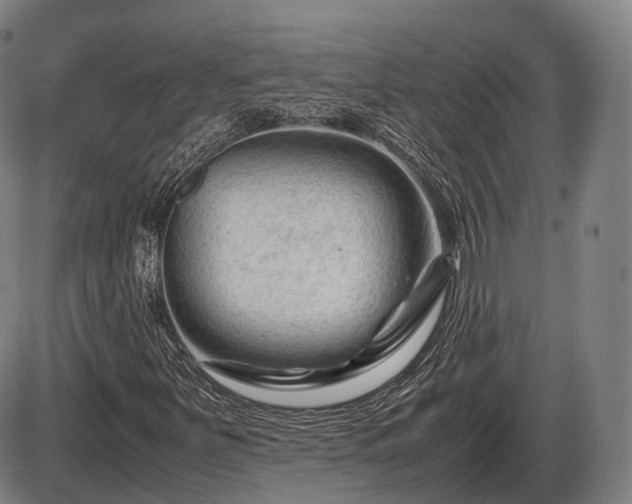 X0000086061251200703301032