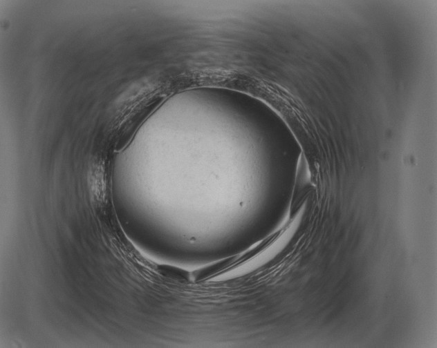 X0000086061252200703301032